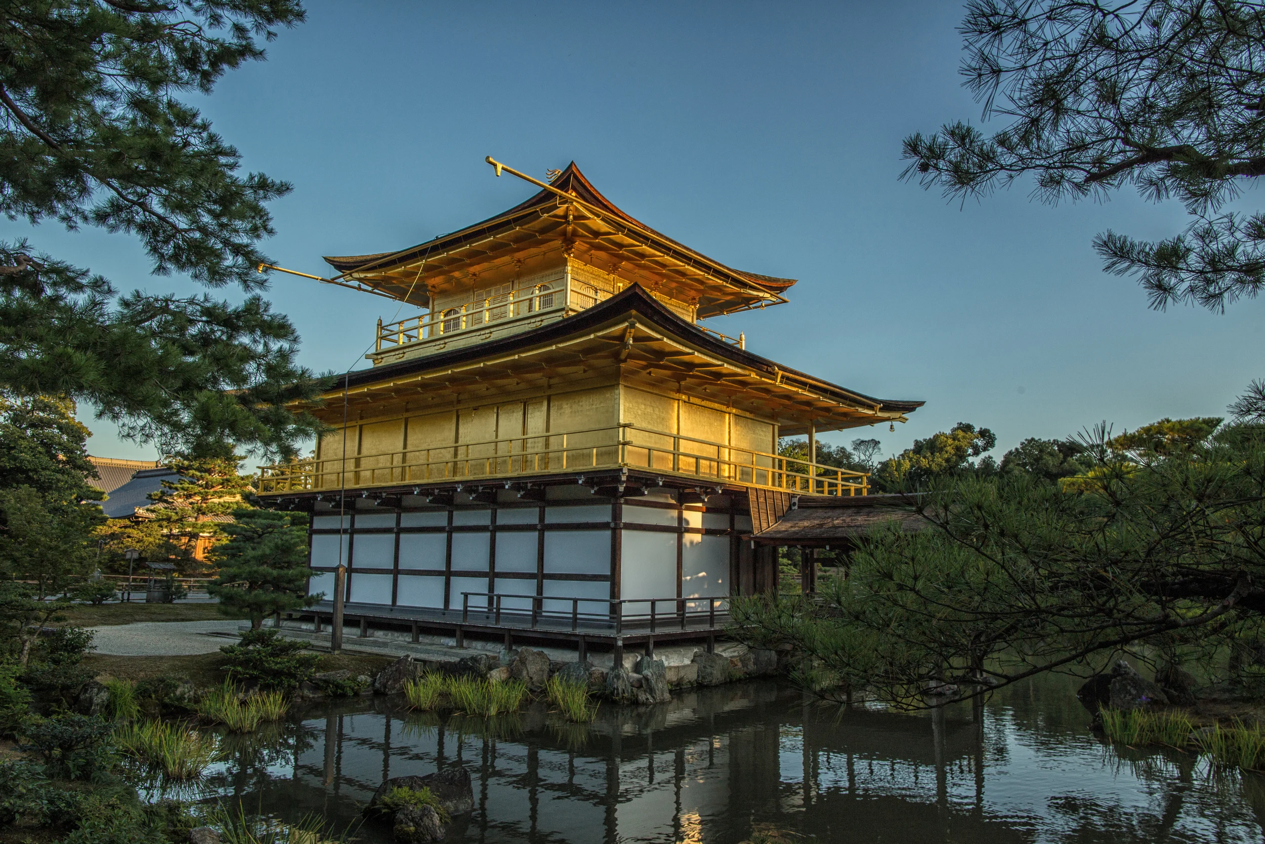 The Perfect Golden Hue of Kinkaku-ji
