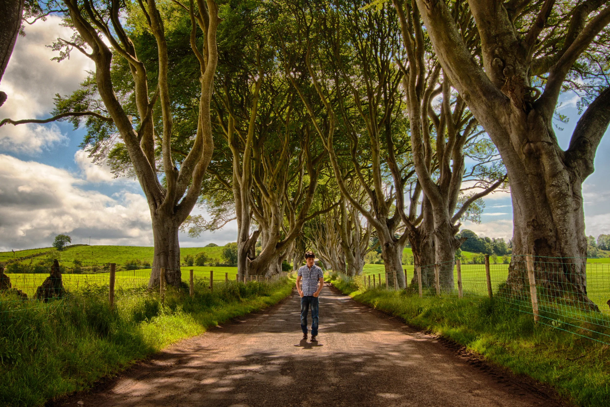 A Countryside Ramble in the Dark Hedges