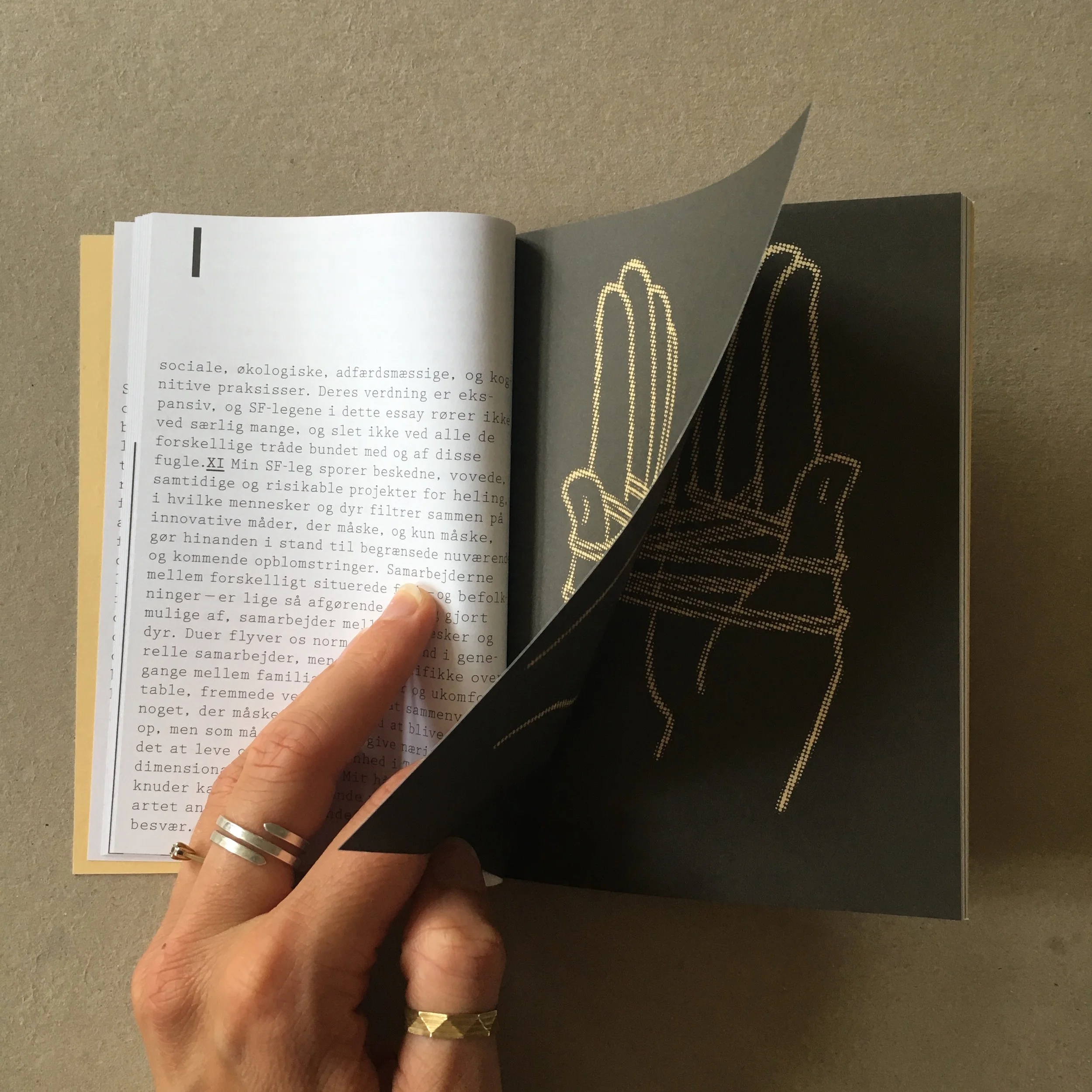 Fil 26-07-2017 19.31.25.jpeg