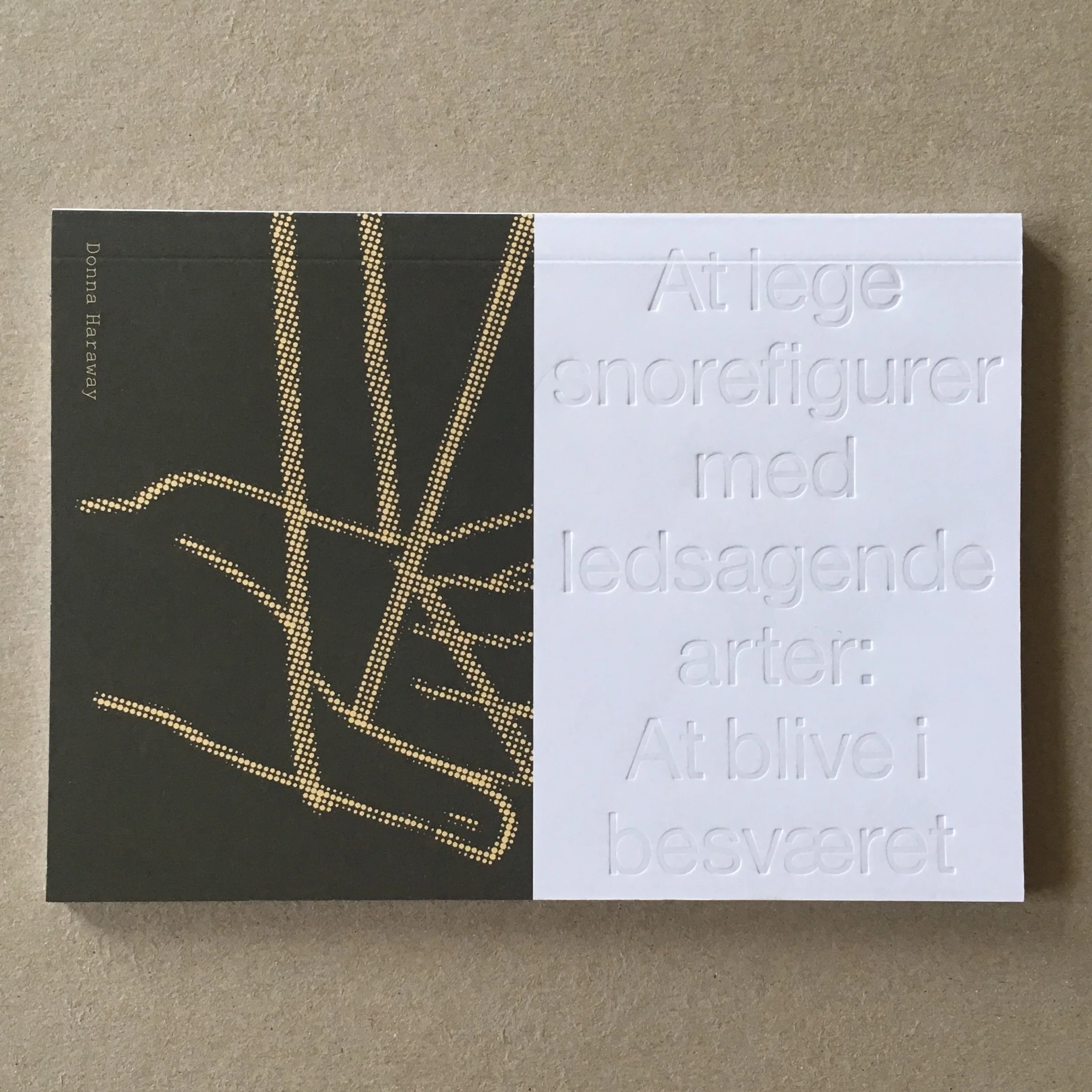 Fil 26-07-2017 20.23.27.jpeg