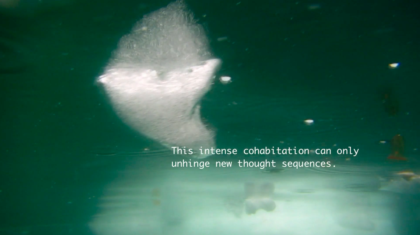 still from Ursula Biemann, SUBATLANTIC (2015), VIDEO ESSAY, 11 MIN.