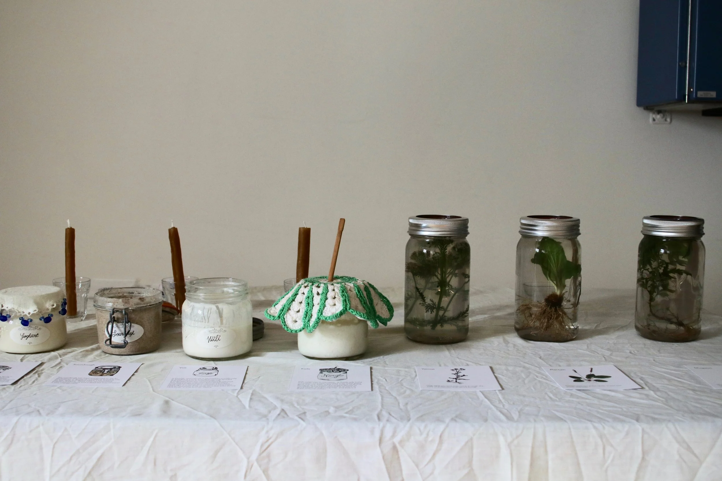 Eva Bakkeslett & Hannah Mjølsnes: ‘Fits Facial Interspecies Transcultural Salon
