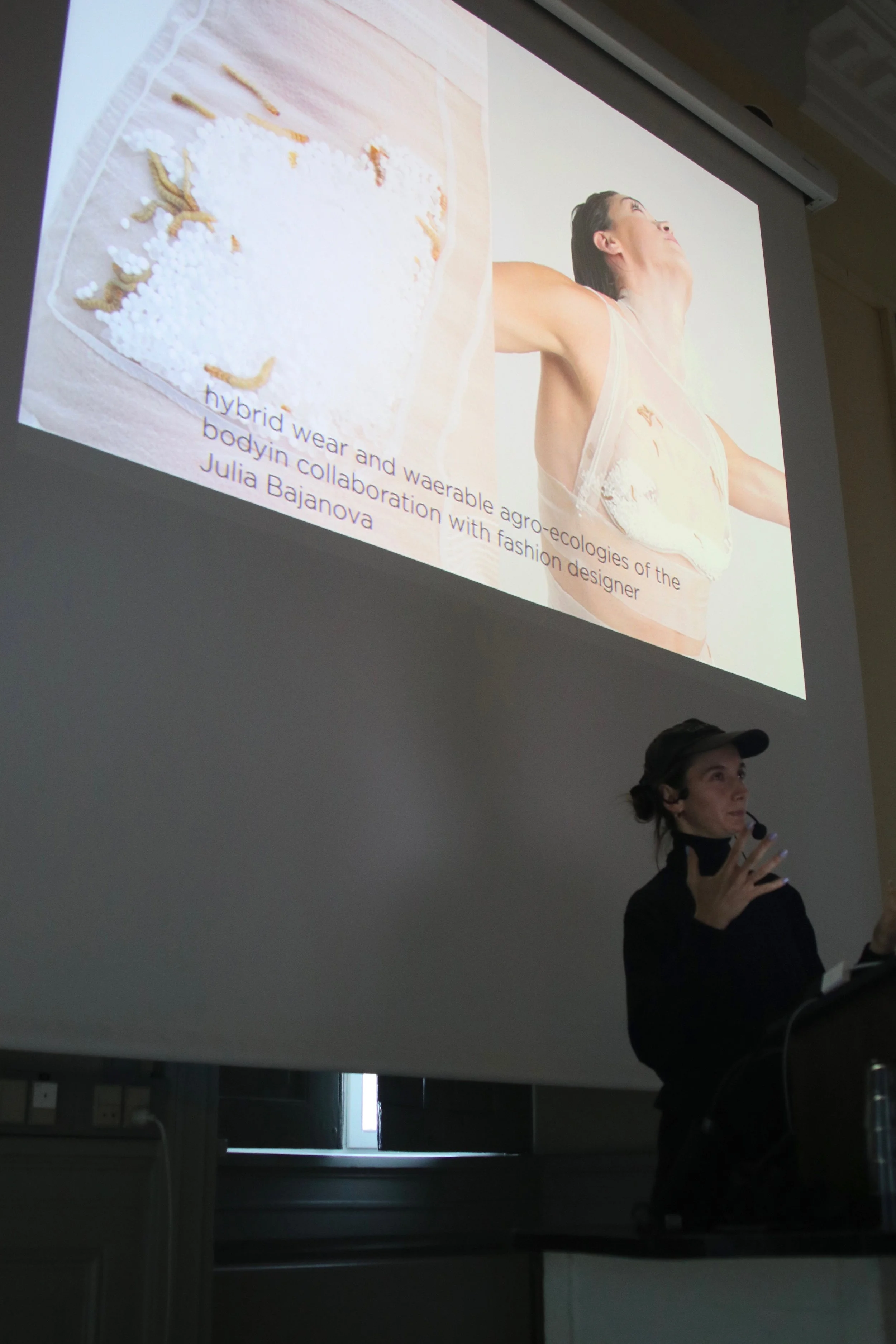 Petja Ivanova: Fermenting Modernity: ‘lively soups of insect bodies’