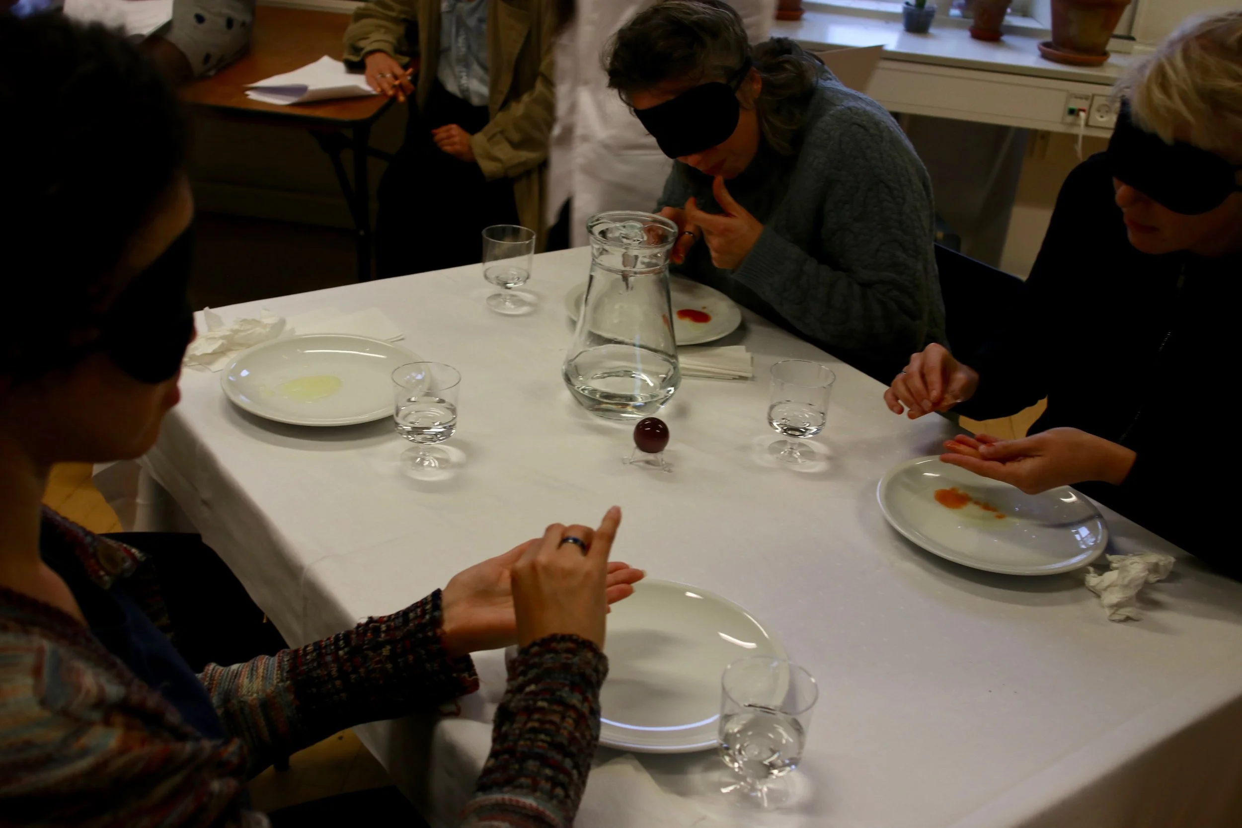 Anna Bolther, Amalie Juelsgaard & Golshid Rokhzan: ‘Flow Feelings Fluid Food’
