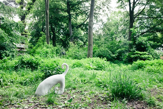 Kaja Lahodová, Dog ruins - a (g)host story og Being in (digging holes in the picturesque), 2019. Foto: Dennis Morton