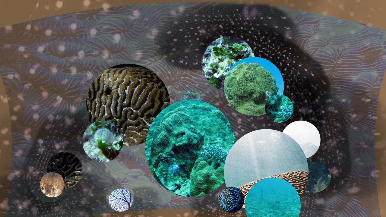 oracle(s) - Dub - Desktop.jpeg