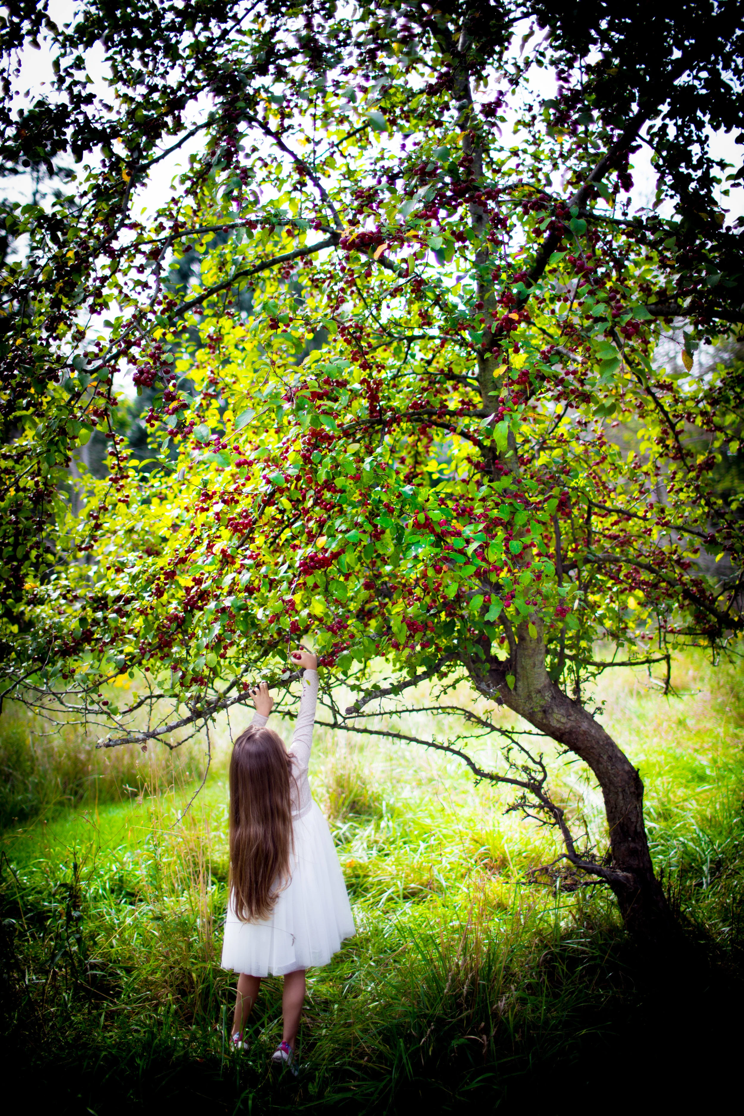 IMG_3635-Edit.jpg