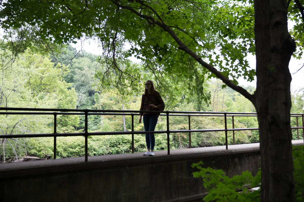 IMG_2565.jpg