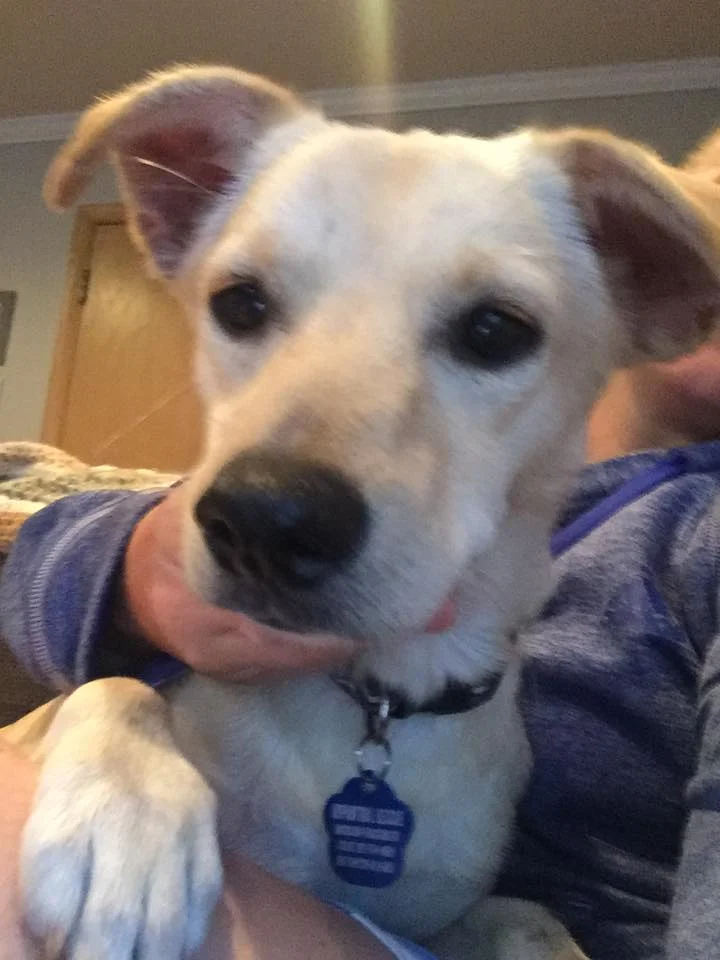 duke.jpg