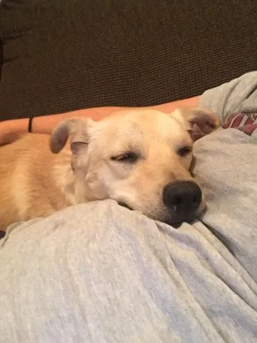 duke2.jpg