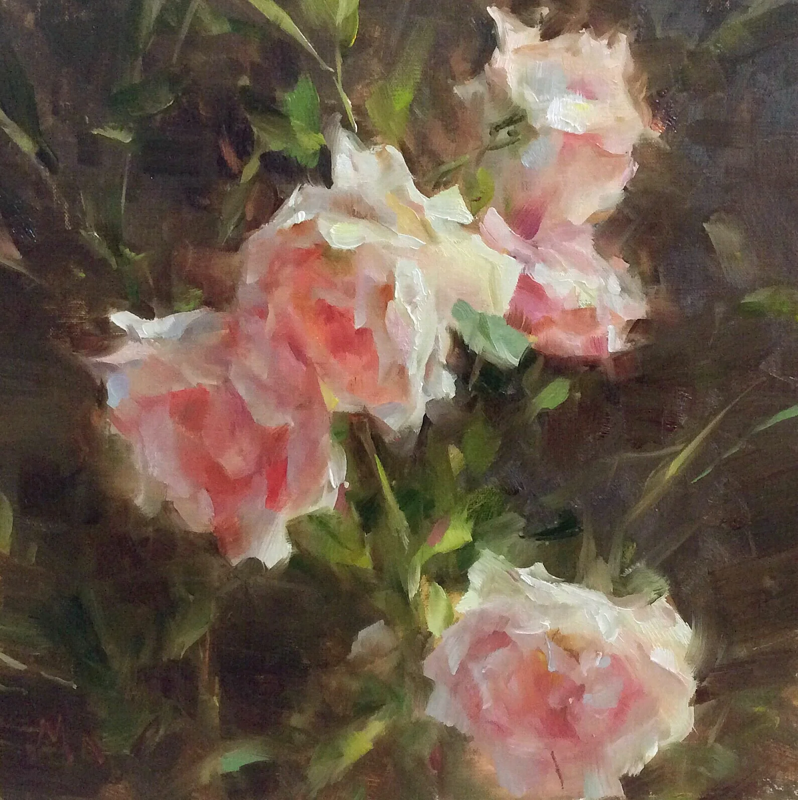 Kyle Ma