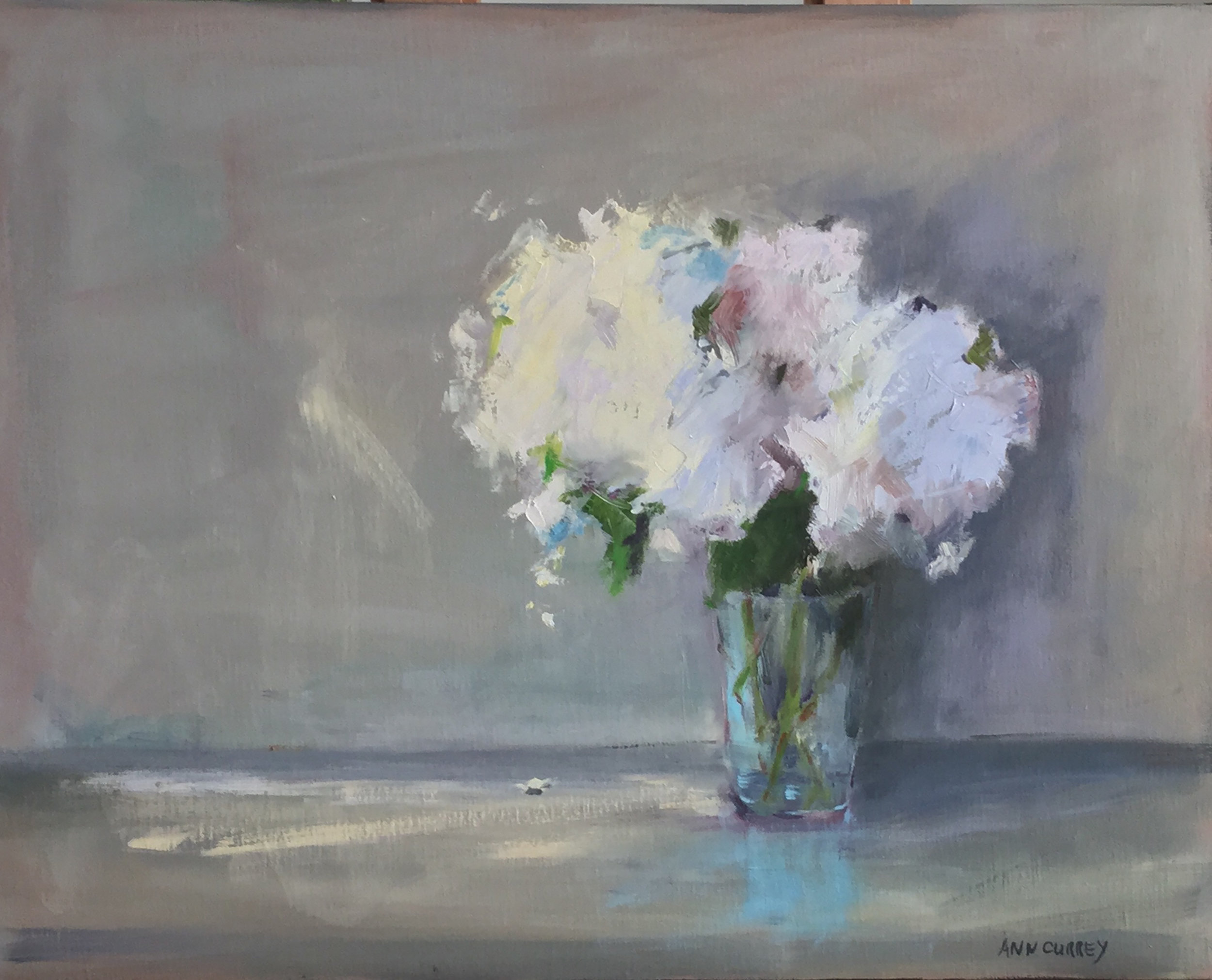 Ann Currey, Hydrangea