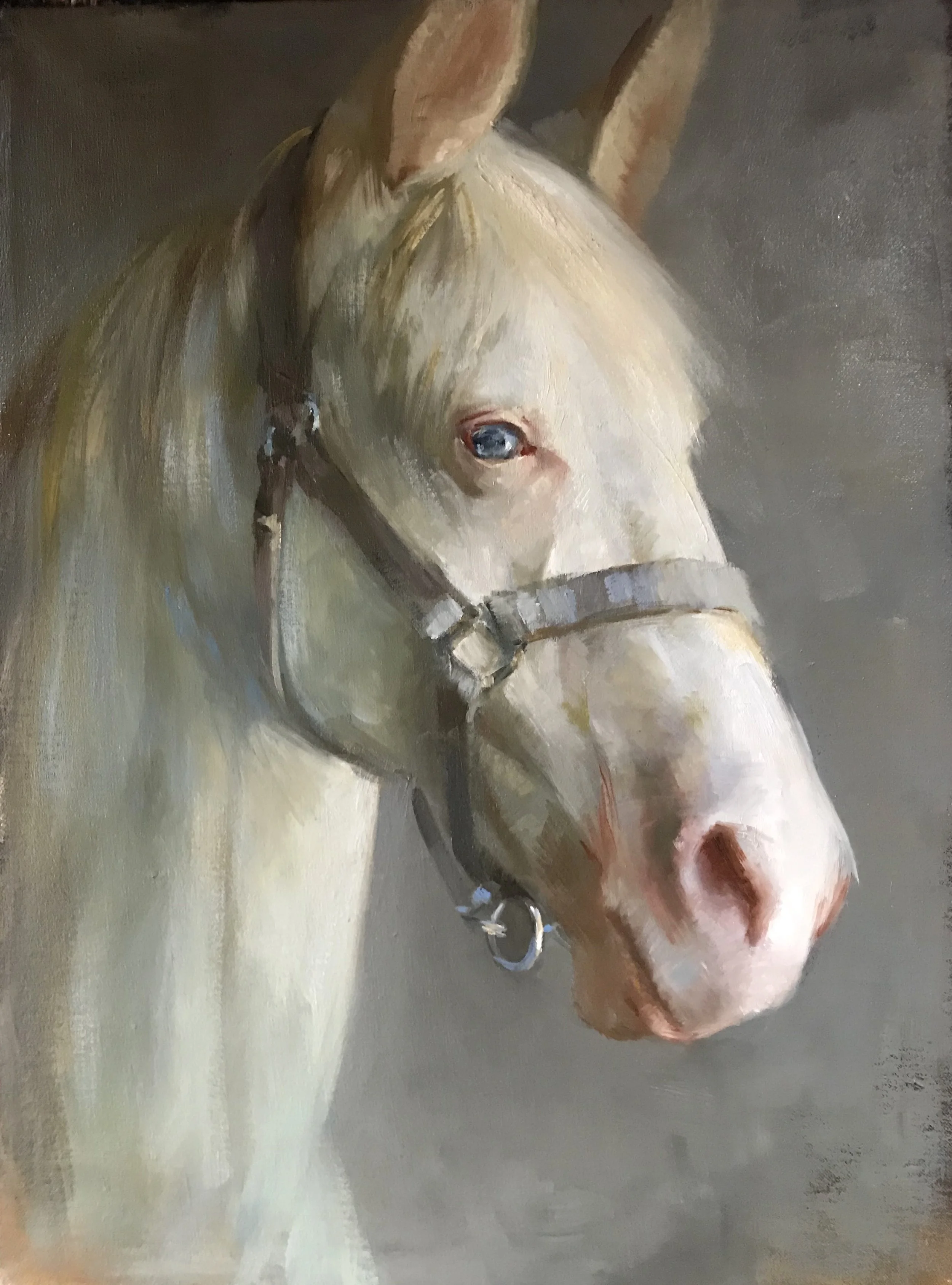 Katherine Galbraith, The White Horse