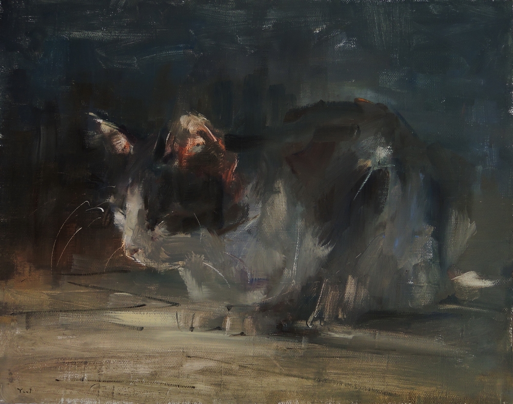 Master Class, Yael Maimon, Alley Cat