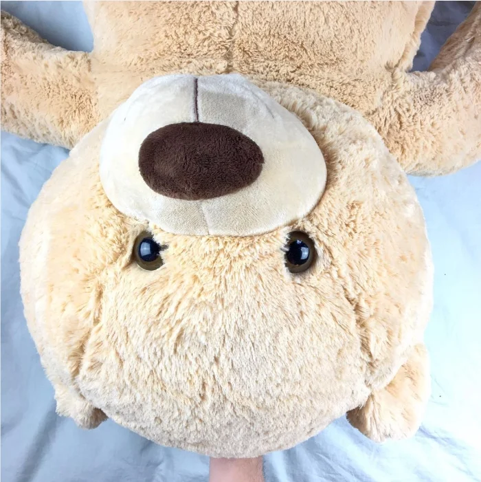 teddy-bear.jpg