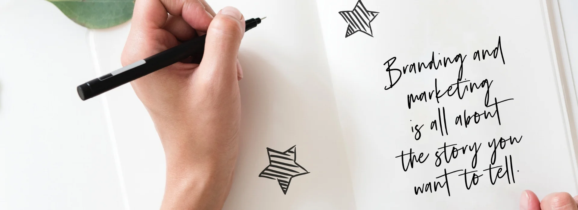 Brand and Logo Design with Piazza Marketing.jpg