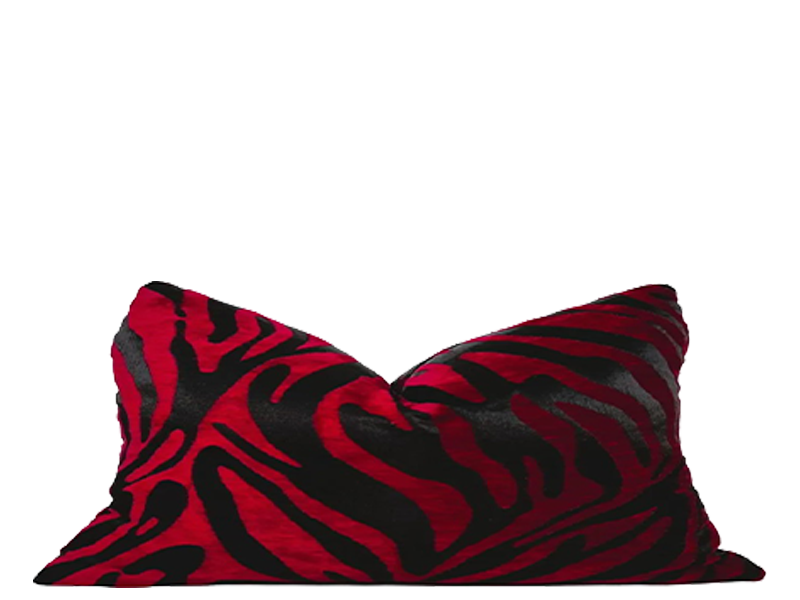 Red Zebra Lumbar.png