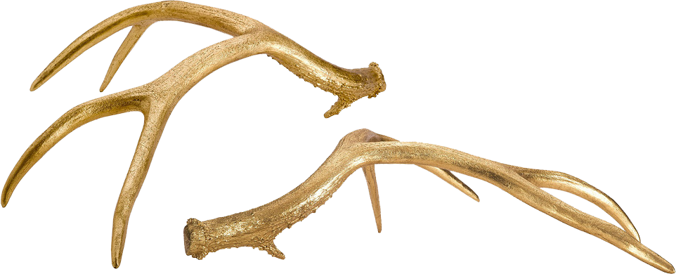 Gold_Antlers.png
