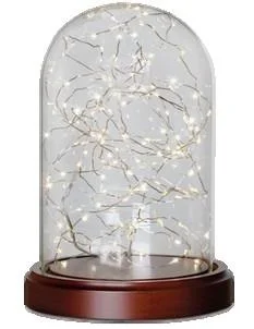 Fairy Cloche.jpg