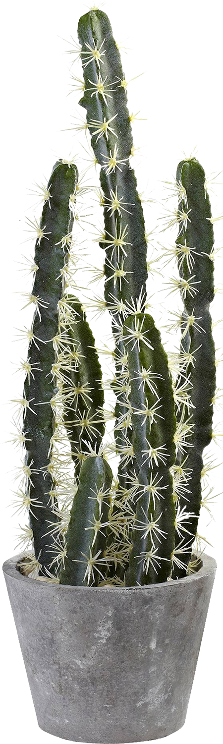 Faux Potted Cactus