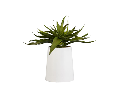 Faux Potted Succulent