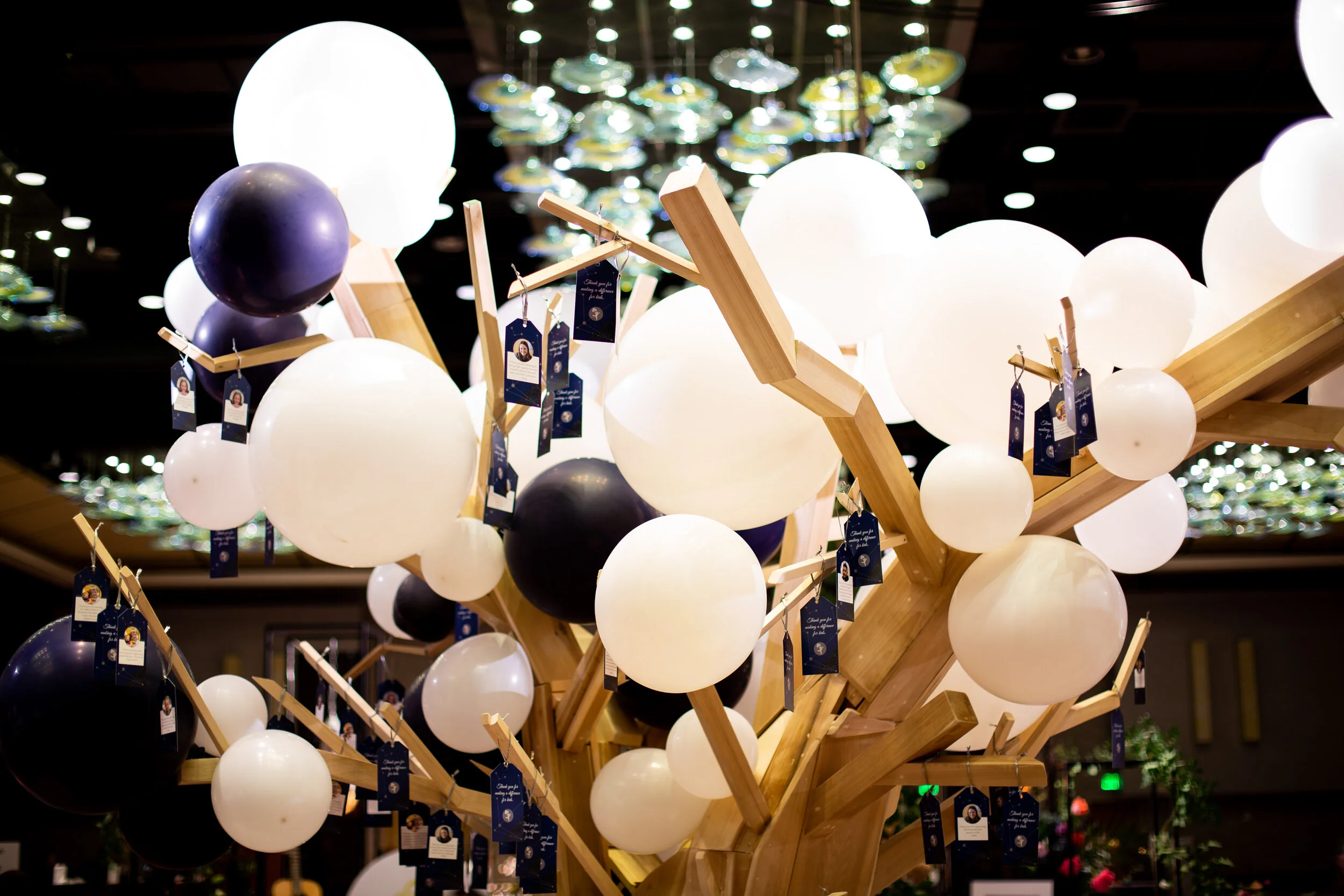 007_EclecticHive_ChildrensGala_72DPI.jpg