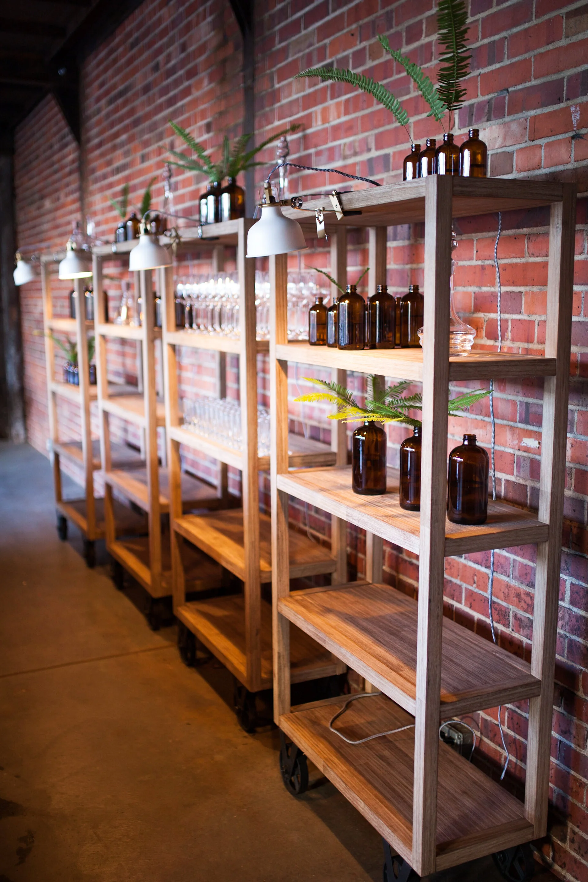 Rolling Shelves.jpg