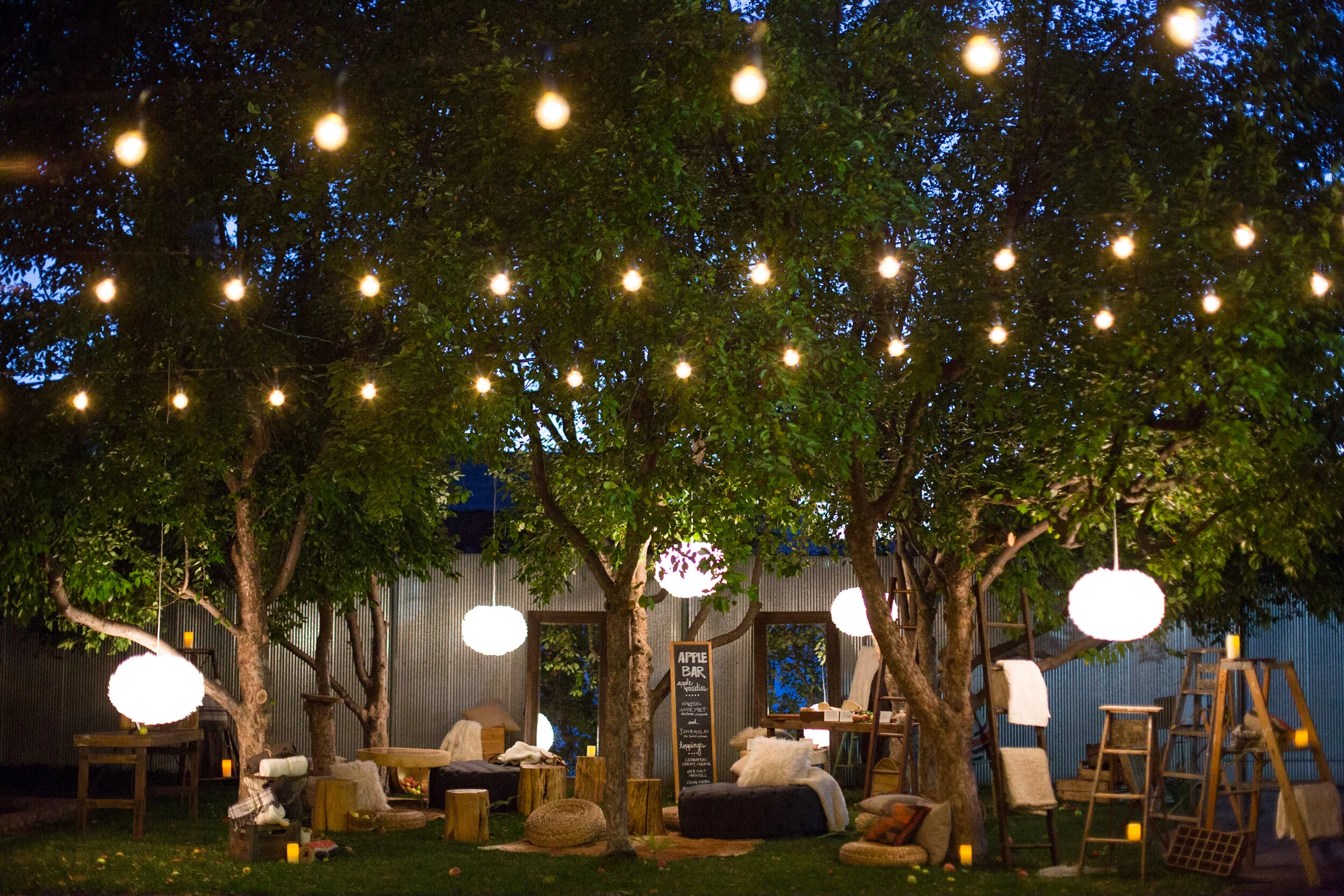 Evening Orchard.jpg