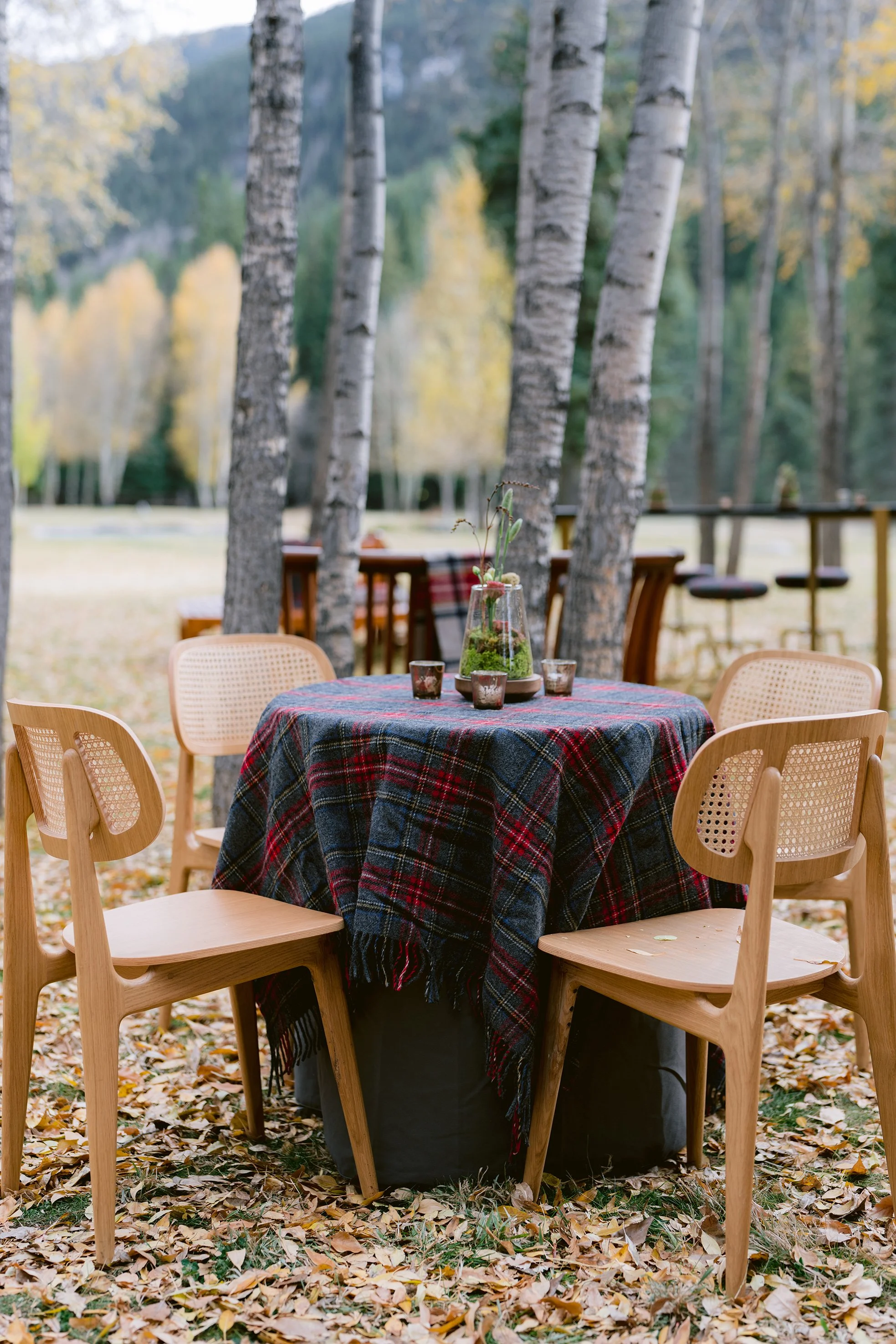 Cocktail Hour in the Aspens.JPG