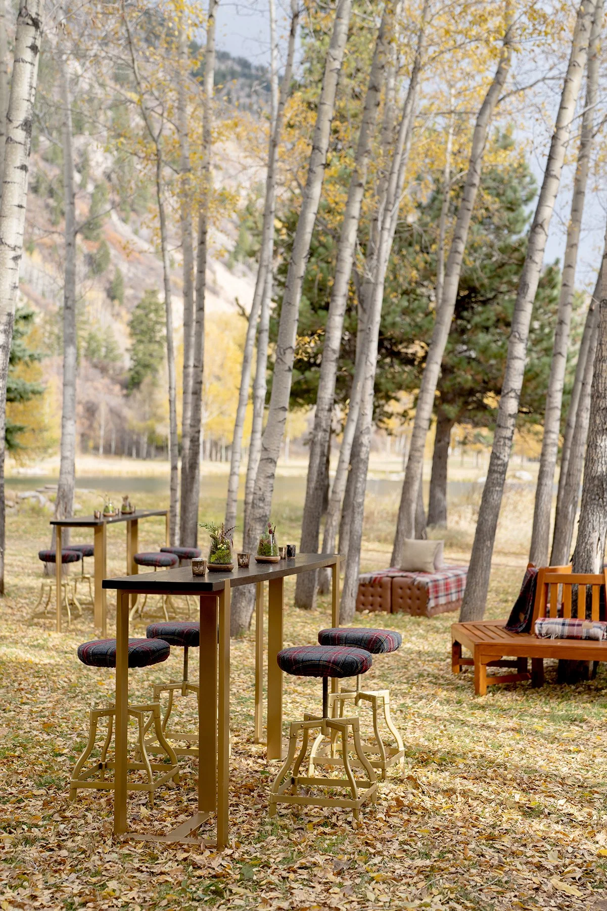 Cocktail Hour in the Aspens 2.JPG