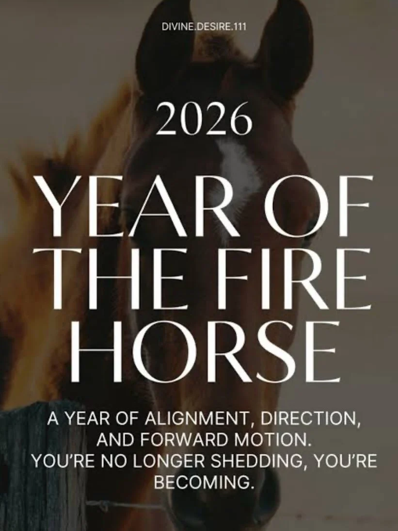Today marks a new beginning personally and professionally.  Those close to me know that 2025 was a life-changing shift. A shift away from what feels familiar and what feels safe, and doing a lot of hard work to push to the other side and realign with