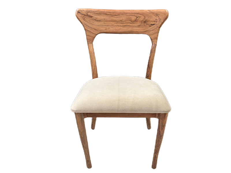 SANARA Taupe Velvet Seat 1.png
