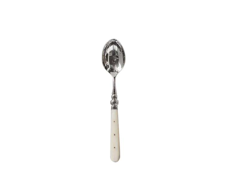 FIONA Dinner Spoon.png
