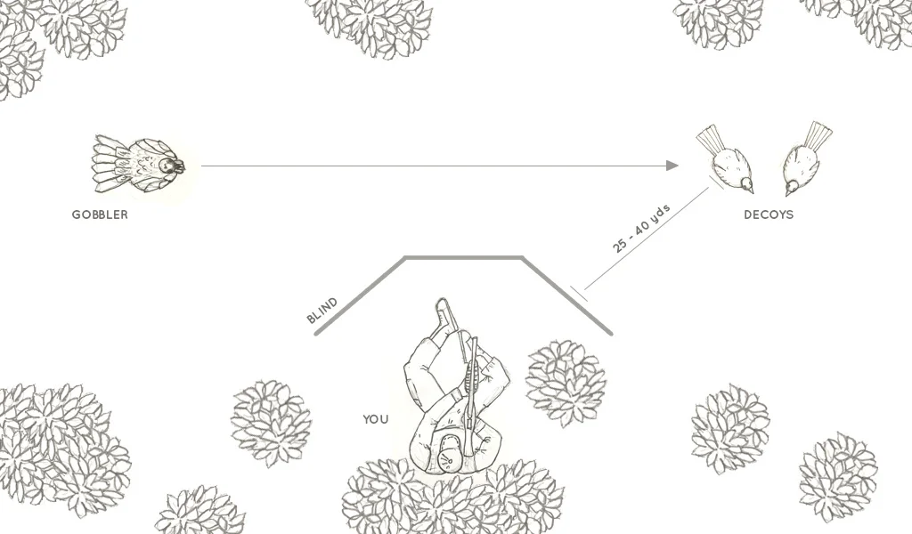 how-to-set-up-for-turkey-hunting.jpg