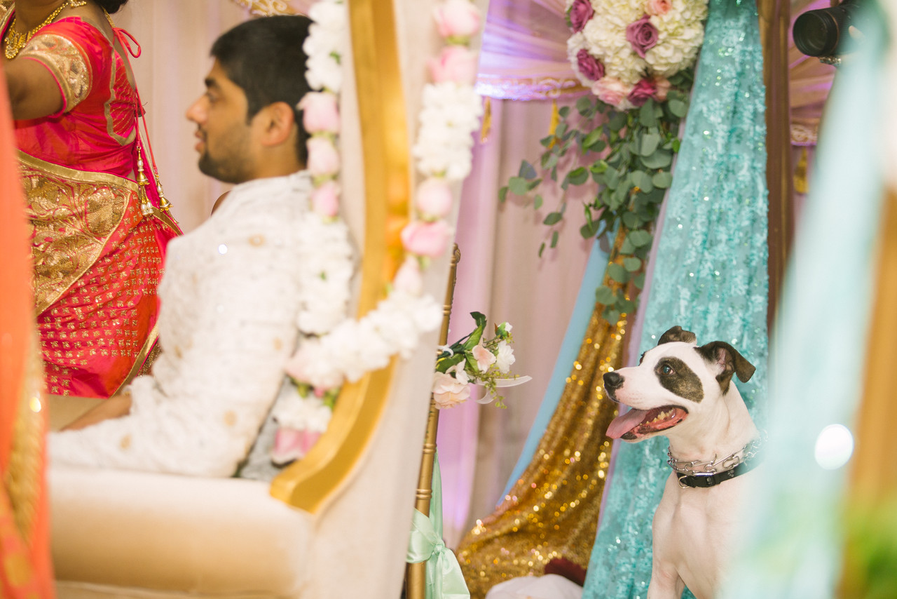 LeCapeWeddings_KoshaandHarshil_-596-X2.jpg