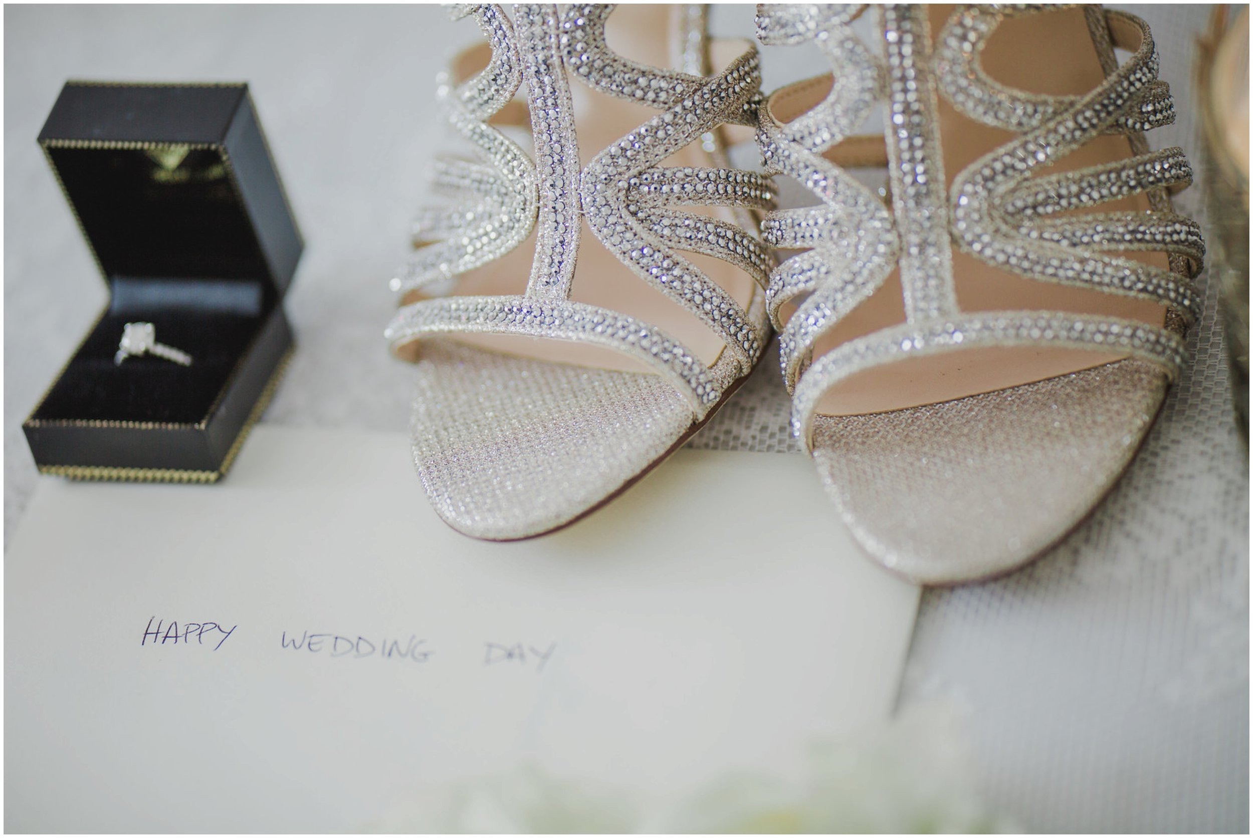 Le Cape Weddings- Chicago Wedding - Ryma and Eejay_-2-X3_LuxuryDestinationPhotographer.jpg