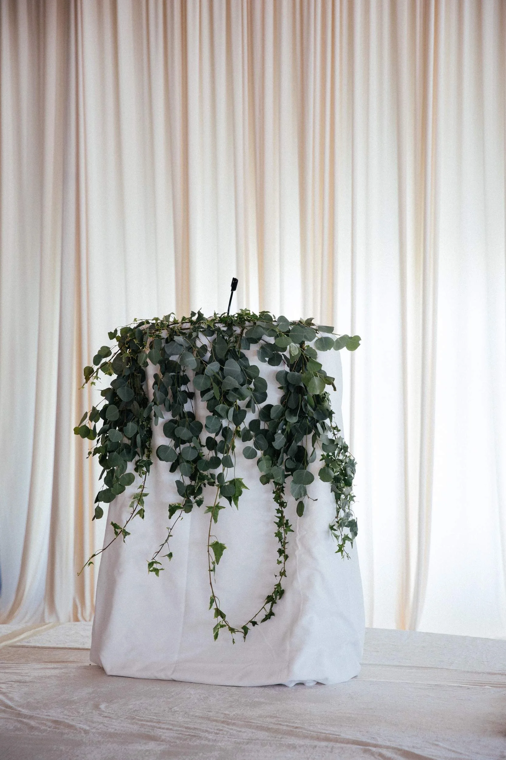 LeCapeWeddings_Renu and Ryan Indian Wedding Photographer -7458.jpg