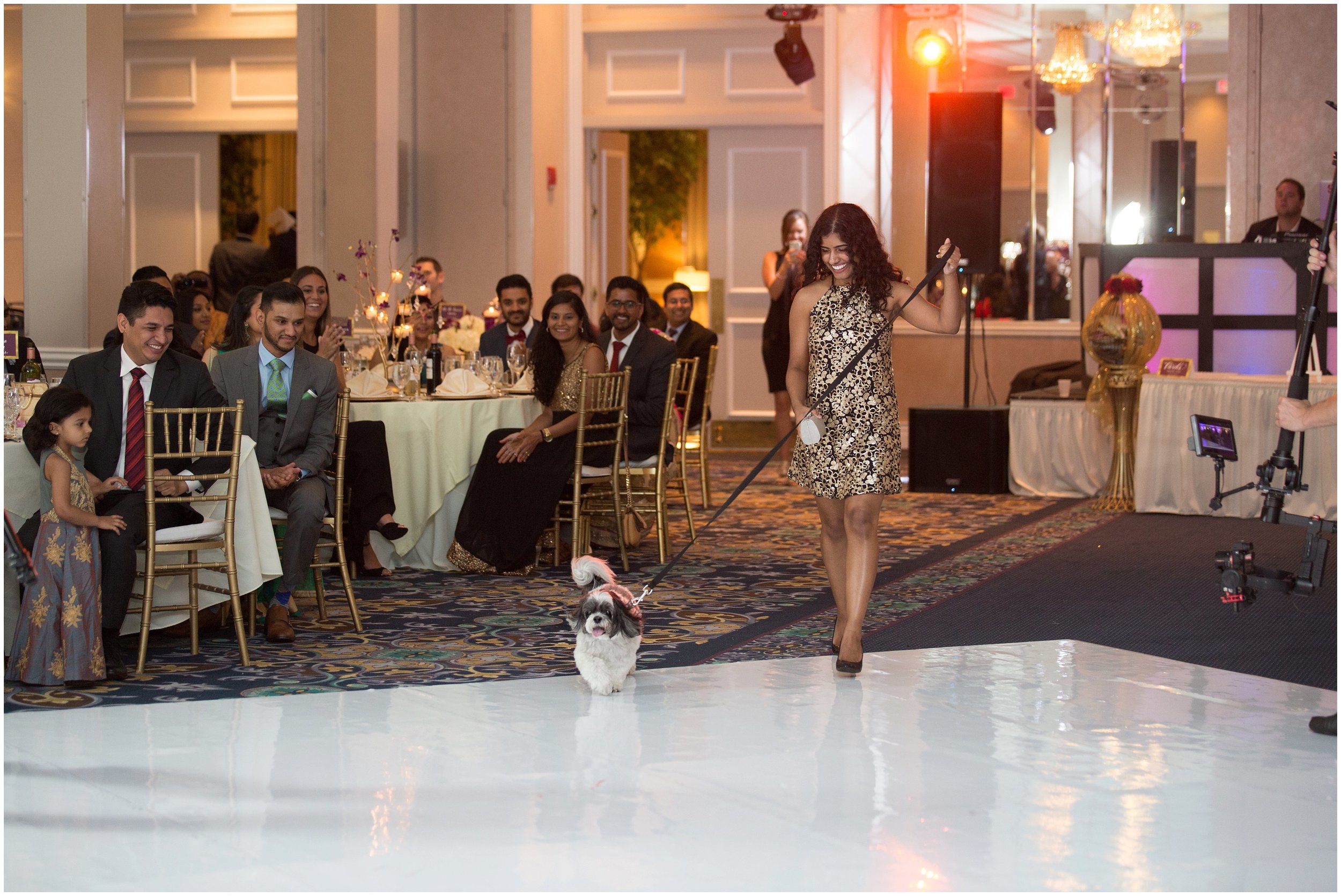 Le Cape Weddings - South Asian Wedding in Illinois - Tanvi and Anshul -2192_LuxuryDestinationPhotographer.jpg