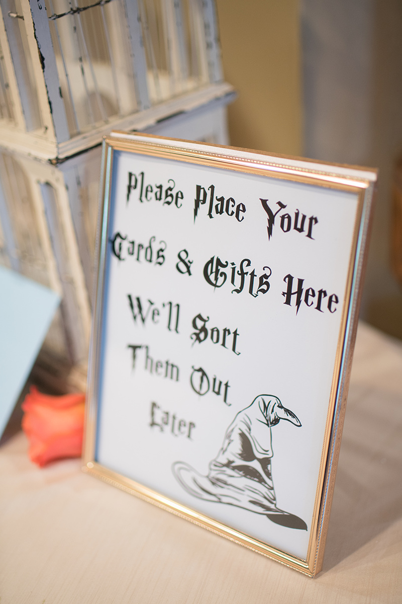 Le Cape Weddings - Star Wars Themed Wedding Illinois - Jessica and Nathan -335.jpg