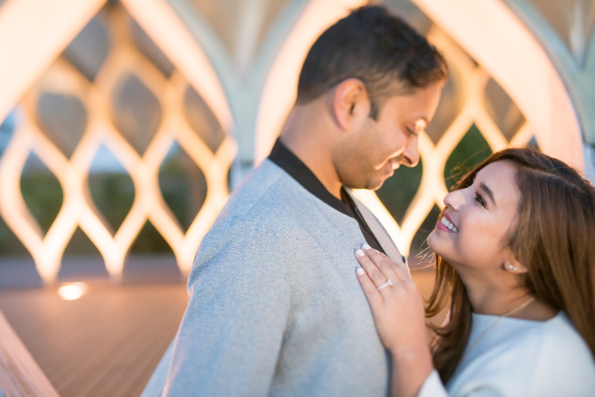 LeCapeWeddings_Surbhi_Engagement Session Chicago -02702.jpg