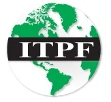 International Tax Policy Forum (ITPF)