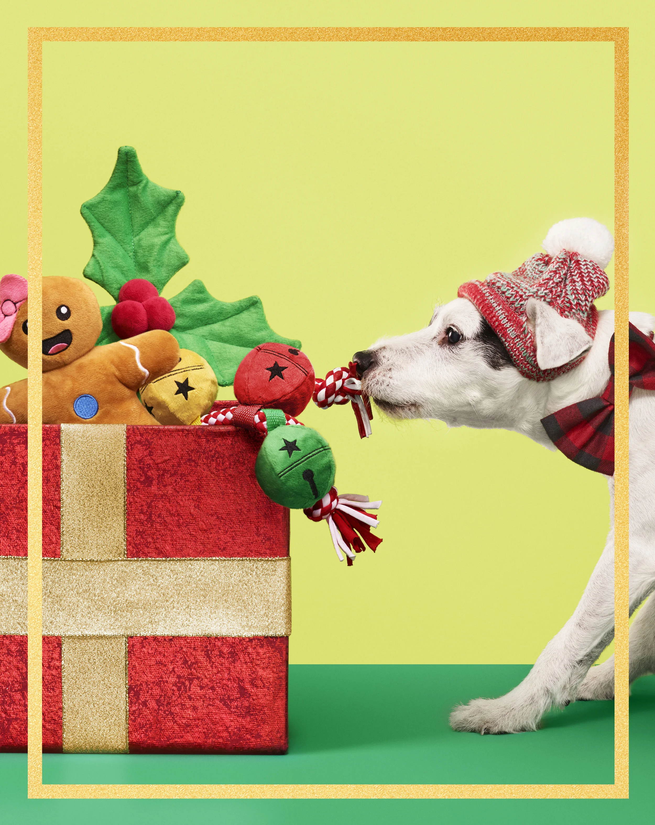 C-000744-01-010_Front_Island_Fixture_Dog_Side CROP with BORDER.jpg
