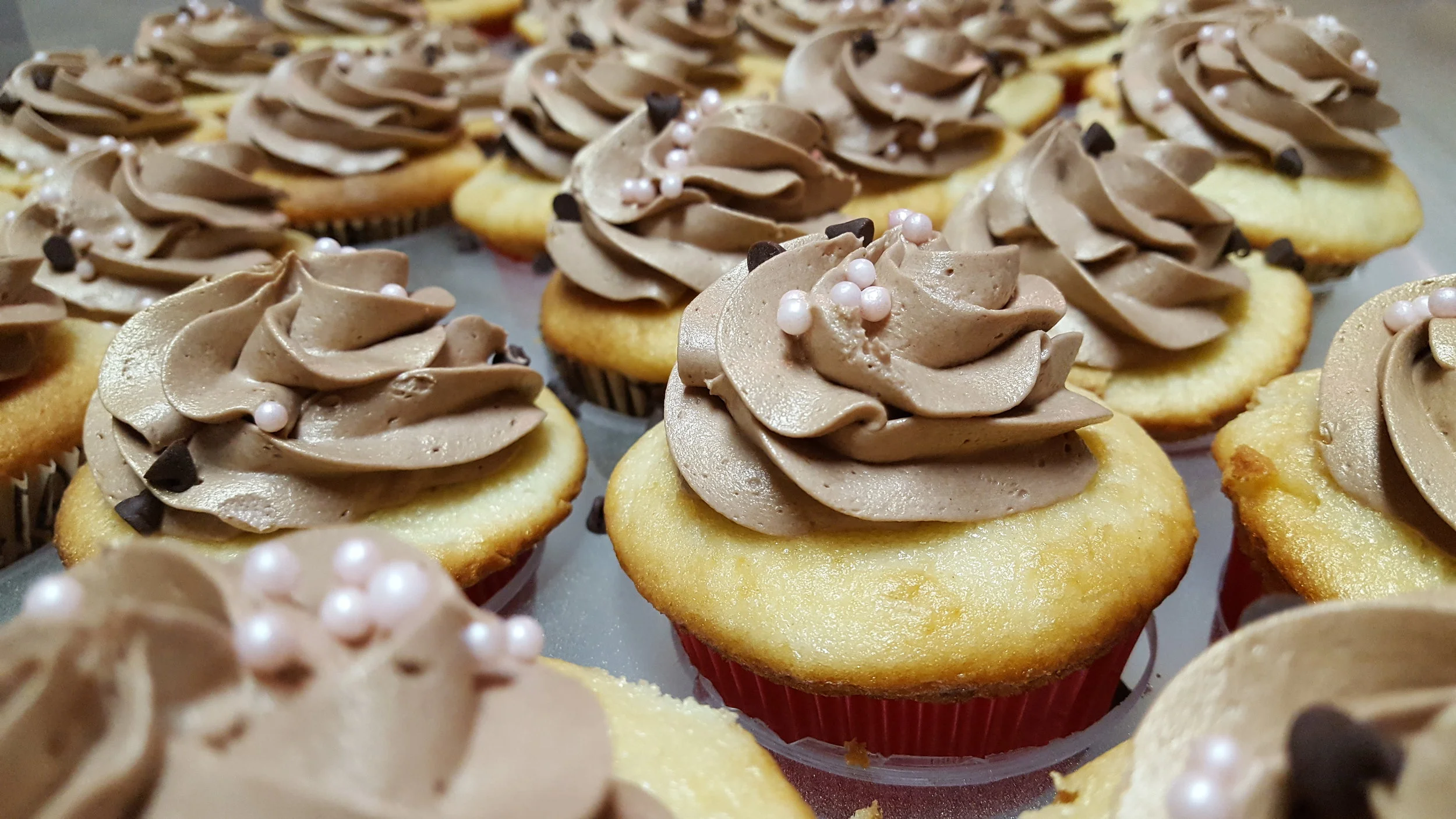 White Velvet Cupcake with Chocolate Buttercream Frosting