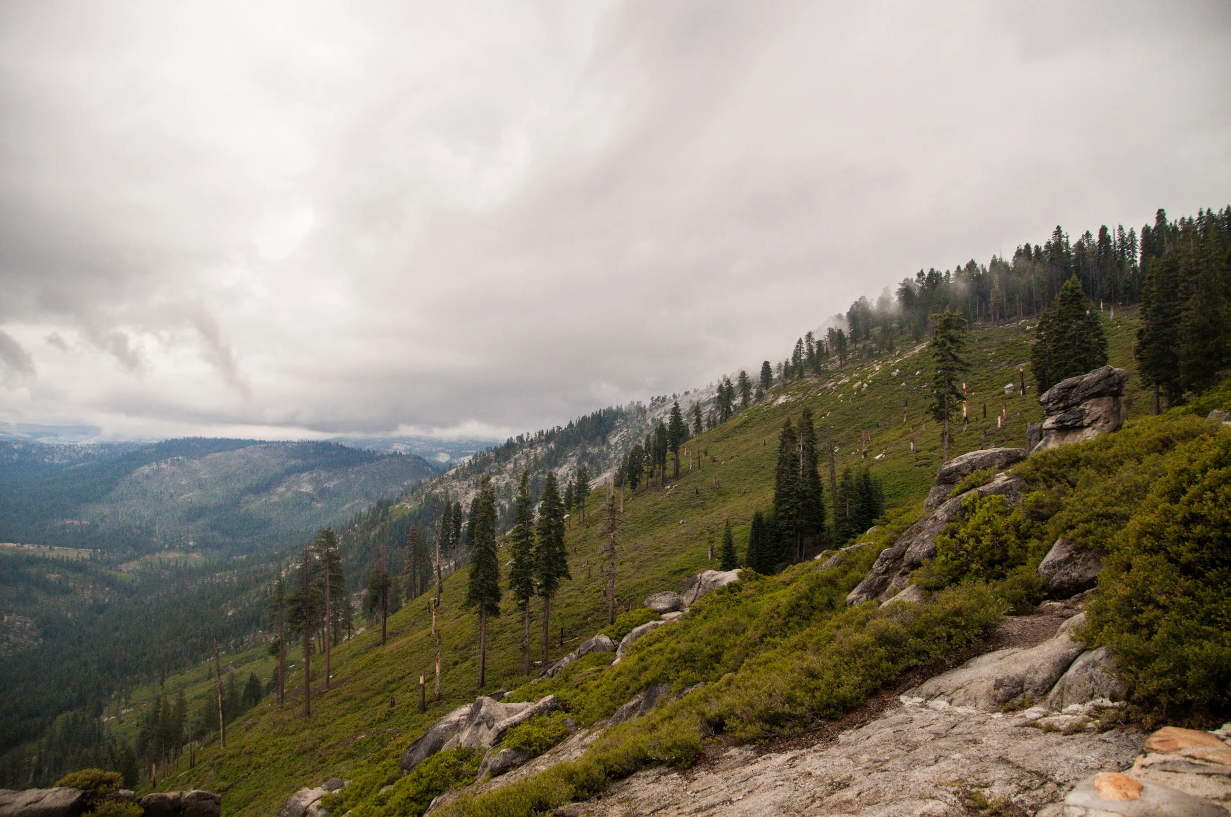DSC_5665.jpg