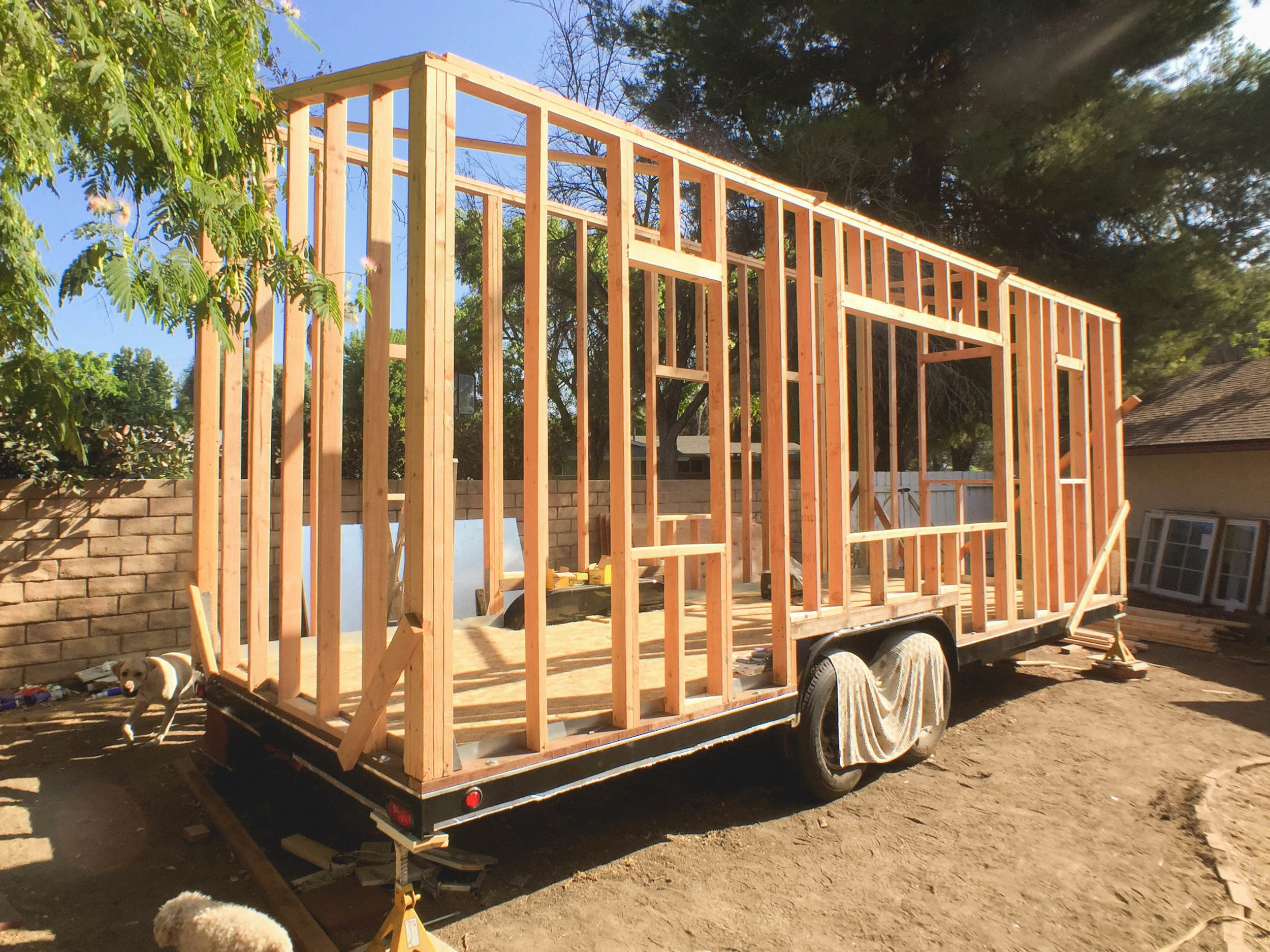 Done! Next comes the roof and sheathing!