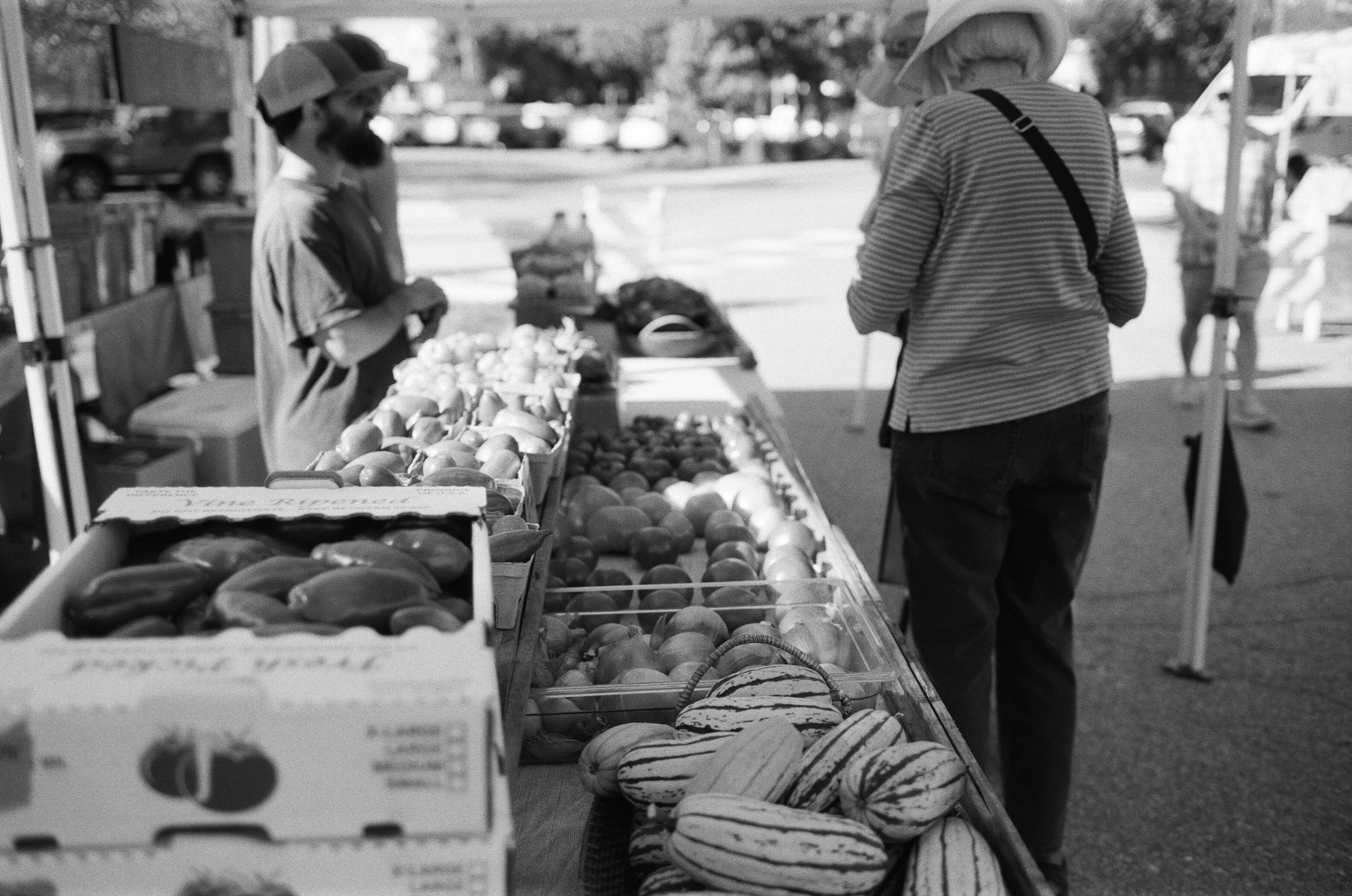 AlyssaSoucyPhotography_YarmouthFarmersMarket-2.jpg