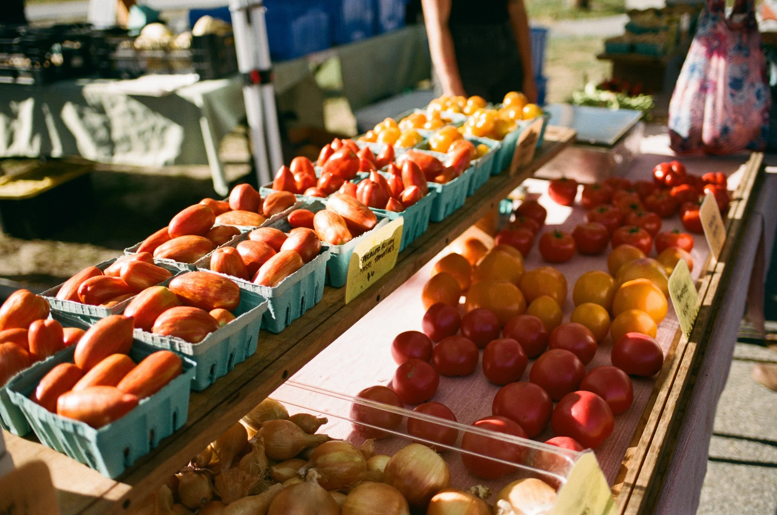 AlyssaSoucyPhotography_YarmouthFarmersMarket-42.jpg