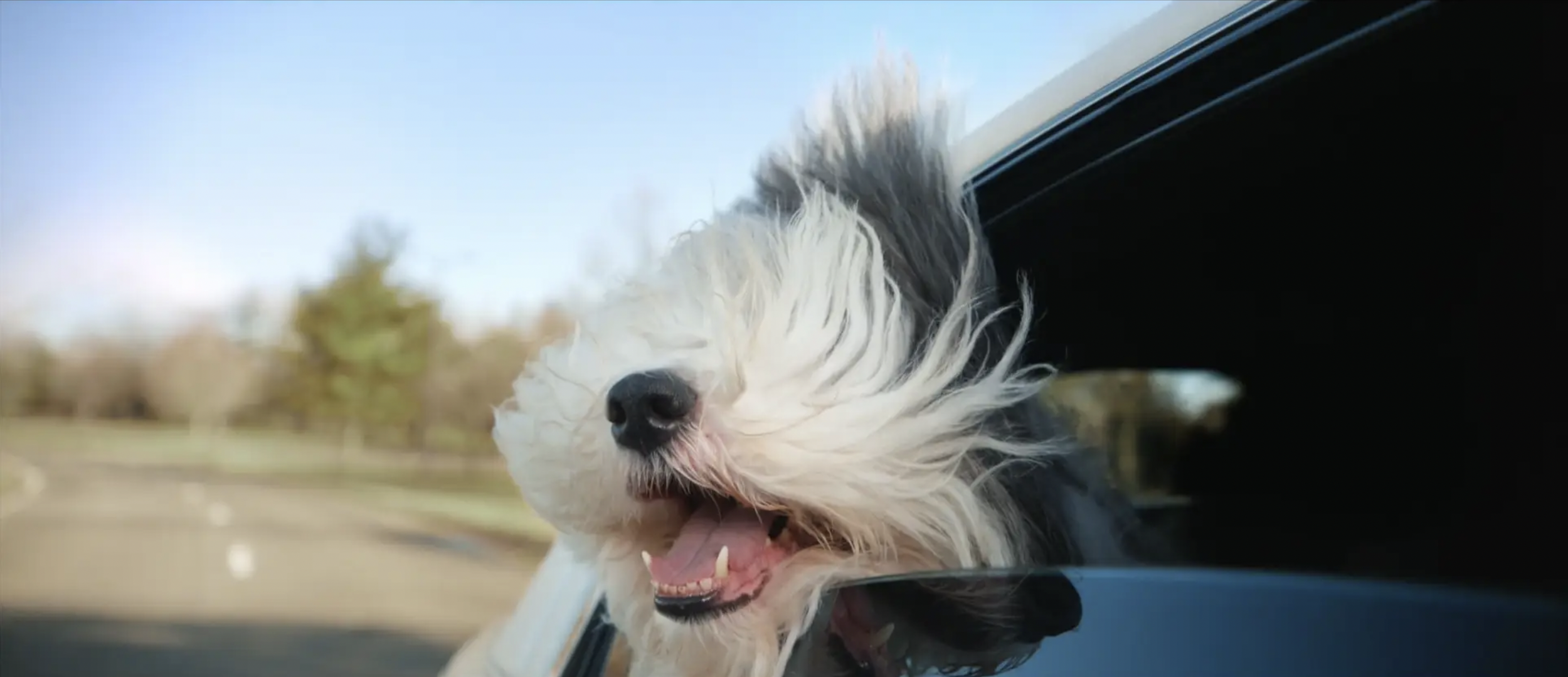 Screen Shot 2023-03-25 at 11.00.59 PM.png