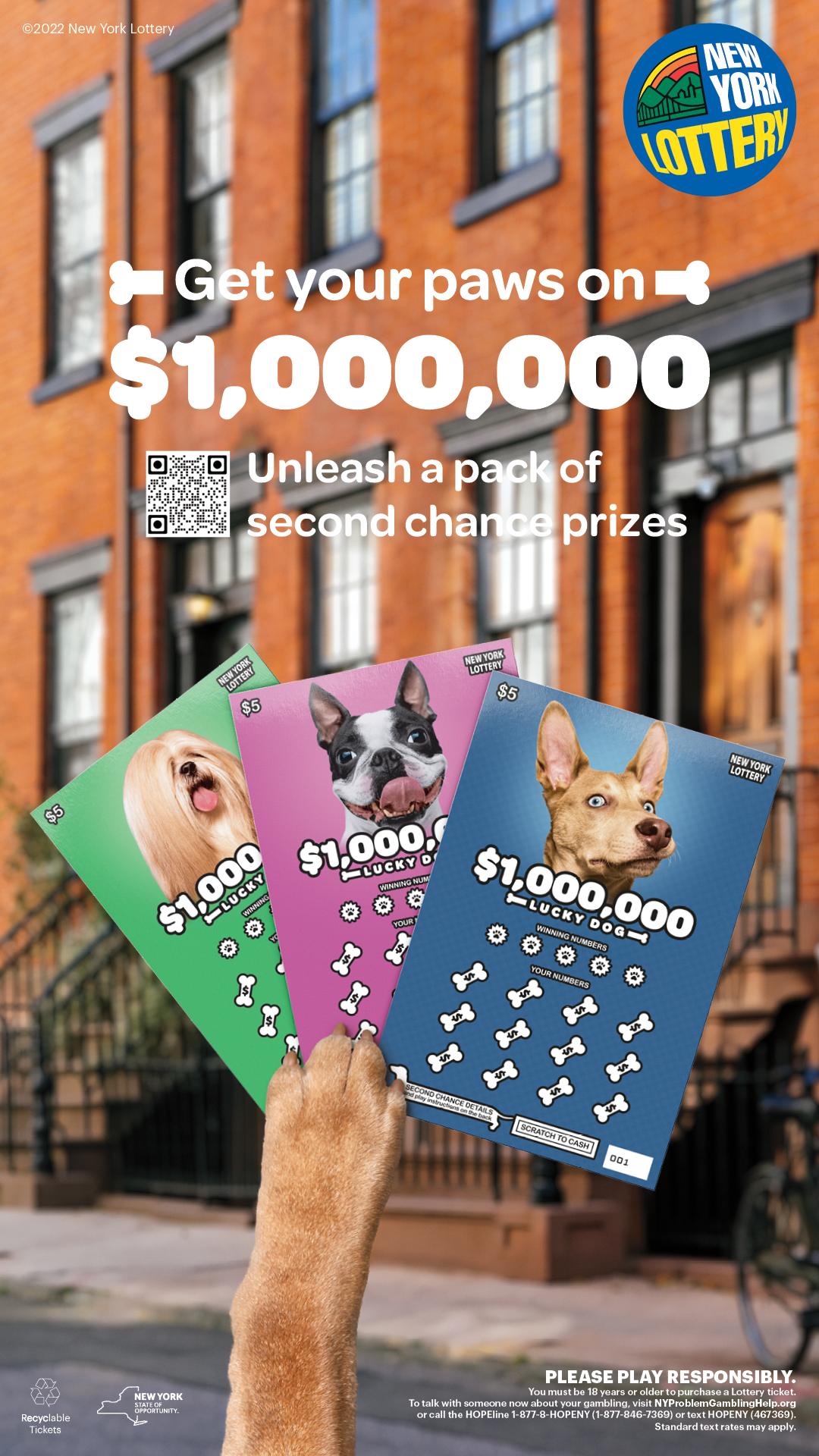 100433_H21LOLNYD_377_NYL_LuckyDog_JCD_DigitalShelters_1080x1920.png