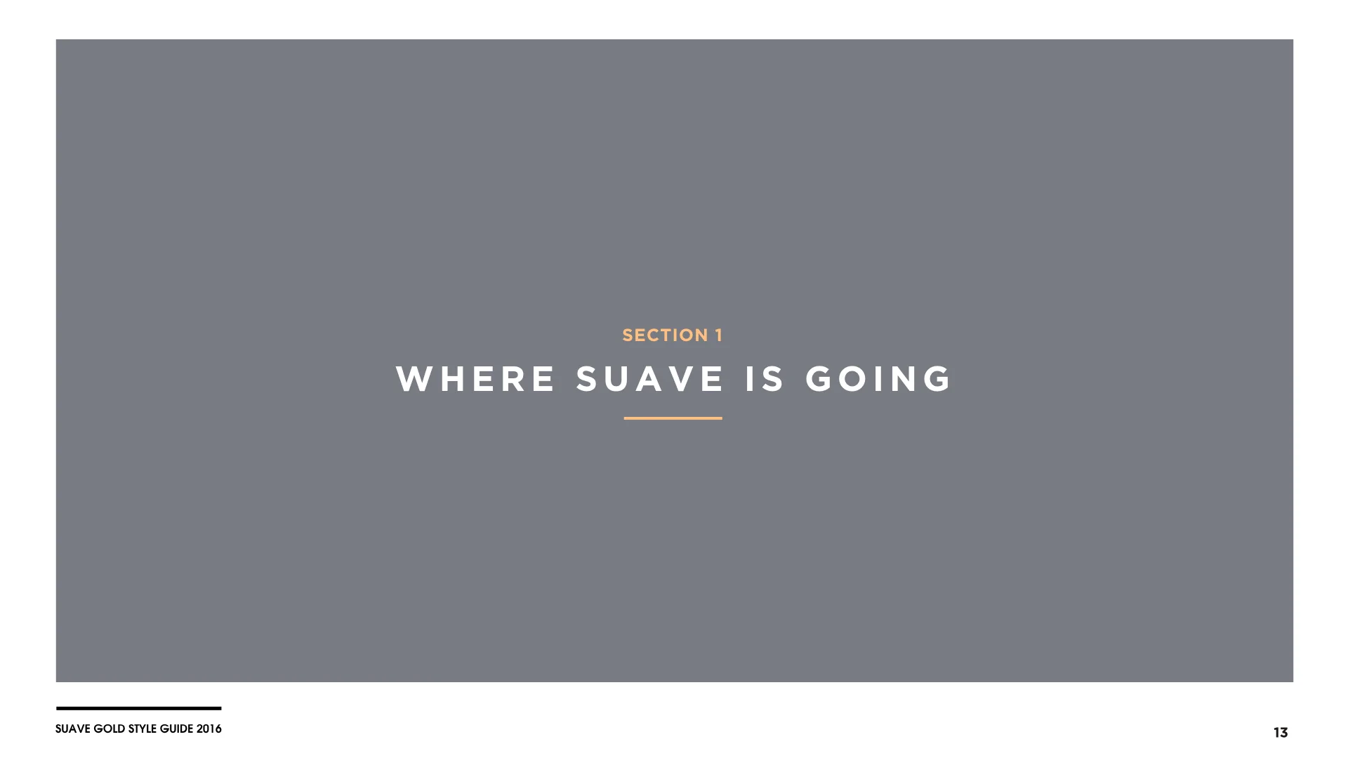Suave Gold Style Guide[10.15.16].013.jpeg